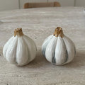 Salt pepper garlic